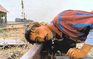 Gato negro, gato blanco.jpg (11850 bytes)