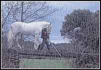 "Octavia", la �ltima pel�cula de Basilio Mart�n Patino, nos ha animado a dedicar el pr�ximo monogr�fico de EN CADENA DOS a este cineasta salmantino.