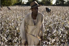 honeydripper1.jpg