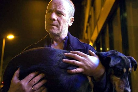 al41-dog_all_together.jpg