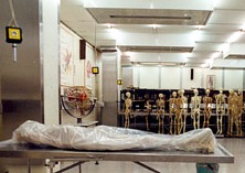 Die &Uuml;berlebenden (Los supervivientes, 1995-1996)