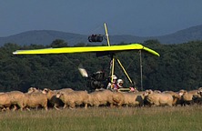 The flying shepherd 