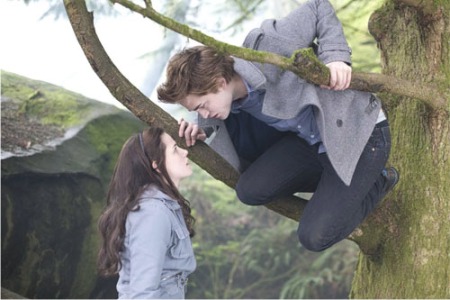 crepusculo4.jpg