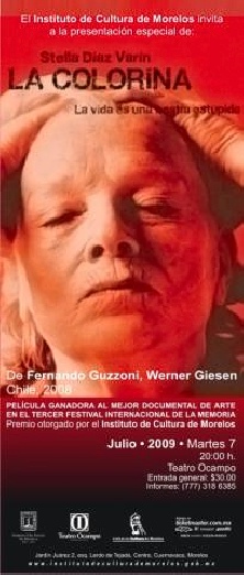 Reconstruye la difusa imagen de Stella Diaz Varin, una genial poetisa chilena anti sistema y musa inspiradora de personalidades del mundo de las letras 