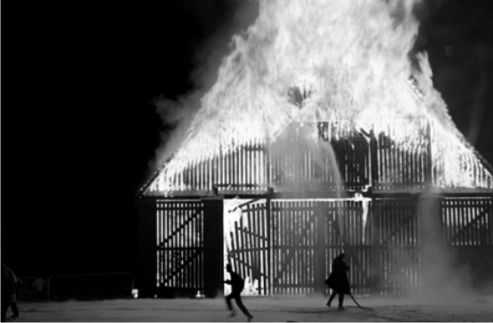 La presencia de la violencia, casi siempre elevada al rango de protagonista, es otra de las constantes del cine de Haneke