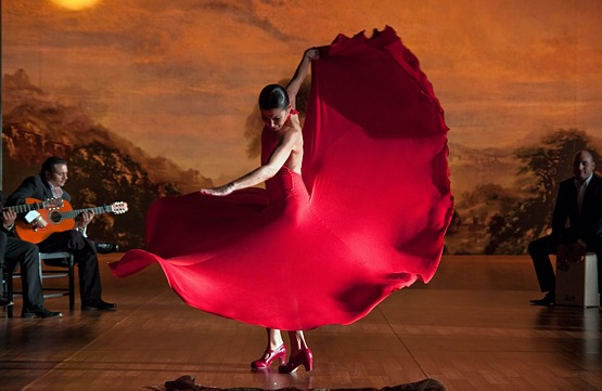 Flamenco, Flamenco de Carlos Saura