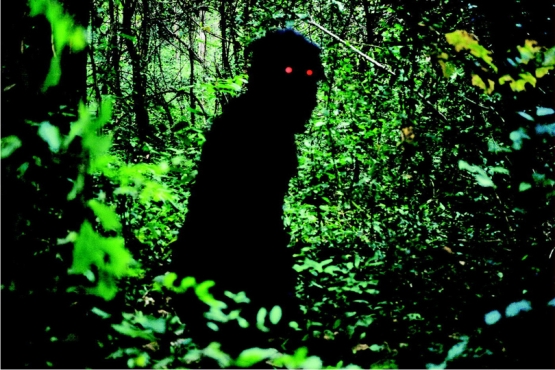 Concebida en largas tomas de alto voltaje visual, Weerasethakul entreteje silenciosamente atmósferas, emociones contenidas y sutiles ideas que va dejando gotear Concebida en largas tomas de alto voltaje visual, Weerasethakul entreteje silenciosamente atmósferas, emociones contenidas y sutiles ideas que va dejando gotear