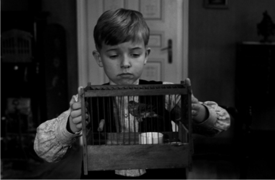 La cinta blanca, de Michael Haneke, ha obtenido la tercera posición