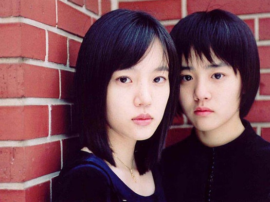 A tale of two sisters, de Kim Ji-woon