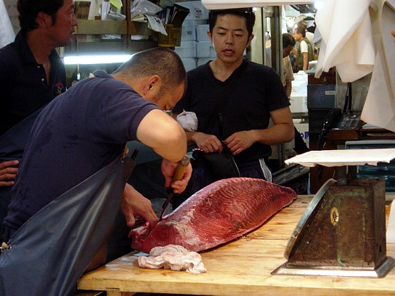bienvenido_tsukiji