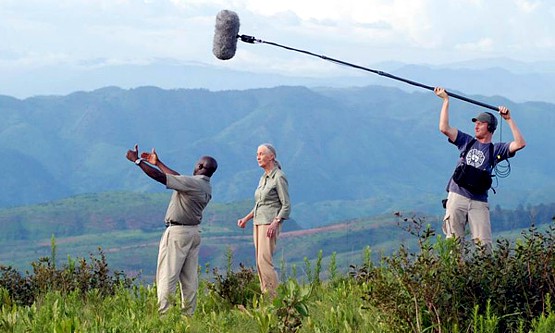 el-viaje-de-jane-3