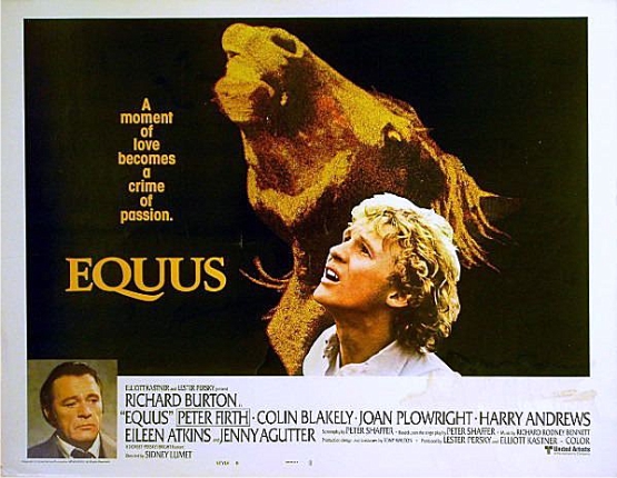 Lumet se atrevió a tratar el tema tabú de la zoofilia en su película eliminando buena parte de la veladura artificiosa-artística-teatral de la obra originaria de Broadway equus12
