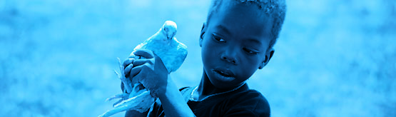 Blue bird (Bélgica) de Gust van den Berghe blue_bird