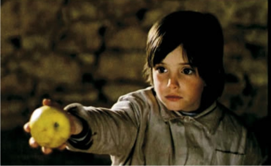 En El espíritu de la colmena, Erice no parece estar tan interesado en cuestionar la cualidad del conocimiento como la consideración social que merece quien difiere en el tipo de aprendizaje adquirido