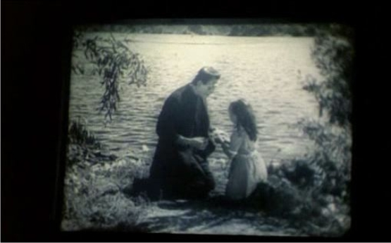 Al retornar de su labor de apicultor, Fernando pasa de largo ante la sala donde se proyecta Frankenstein. Se detiene un instante ante la puerta para informarse de qué se trata, escucha algunos diálogos de la película y las reacciones de los asistentes, pero continúa con su camino