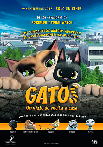 gatos-1