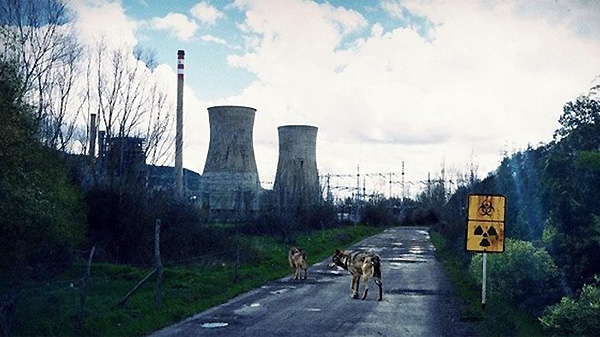 la zona 4
