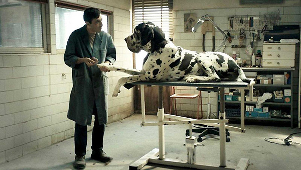 dogman-2