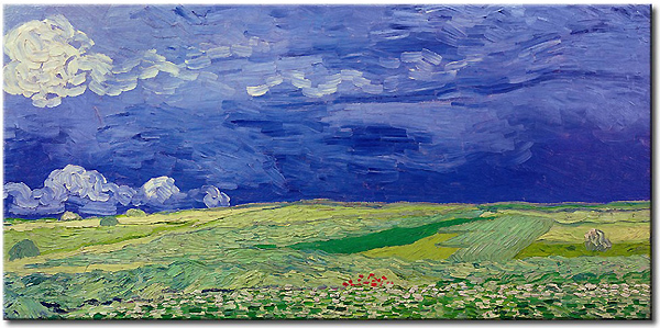 van-gogh-campos-completa