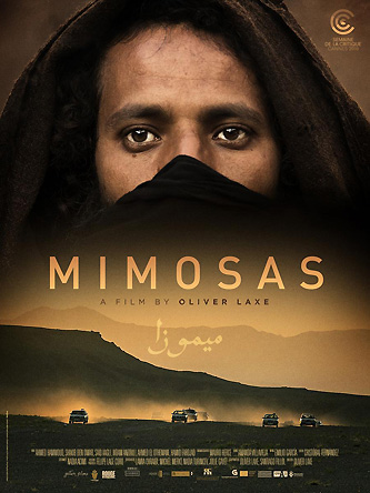 mimosas-1