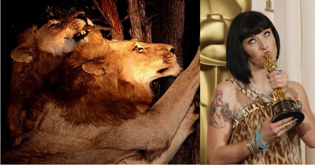 Los diablos de la selva + Diablo Cody Los diablos de la selva + Diablo Cody