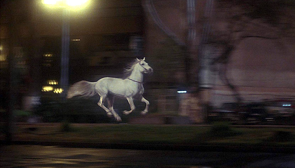 En la avenida, un caballo blanco corriendo, como corrió ella y como corrió aquel muchacho en la noche de Santiago. Huye caballo, huye de la metralla, de la violencia de los hombres, huye níveo corcel. missing-1