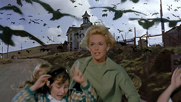 los-pajaros-2